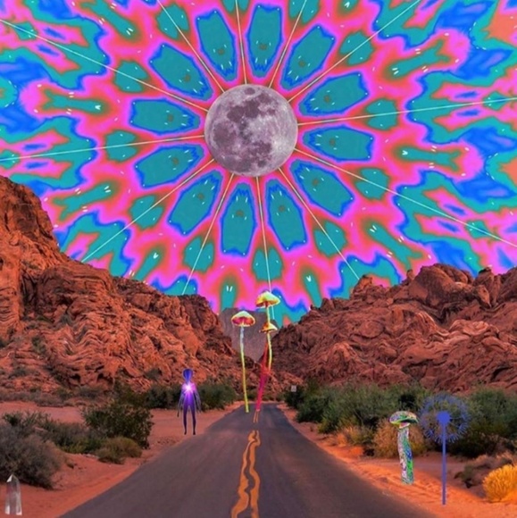 Meet your Posher, Marlene - Picture 1 of 2